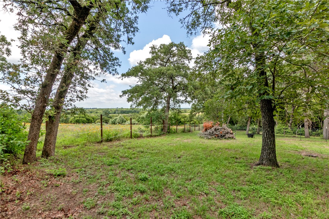 9997 Calhoun Road Bryan, TX 77808 - Photo 3 of 50 a view of a park with large trees