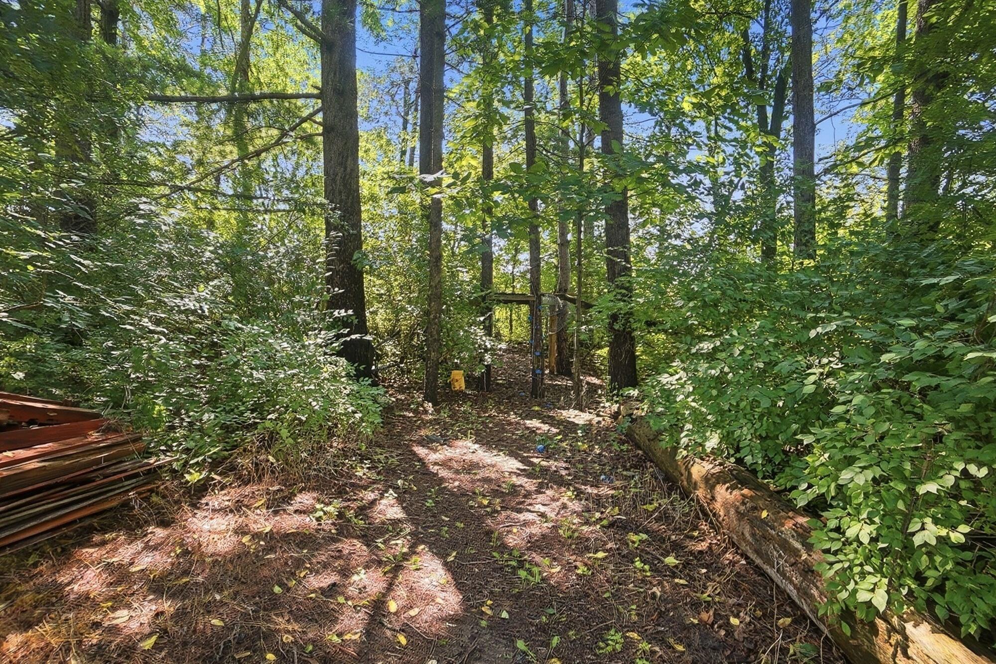 335 Shellbark Road Marysville, OH 43040 - Photo 68 of 69 trails through the woods