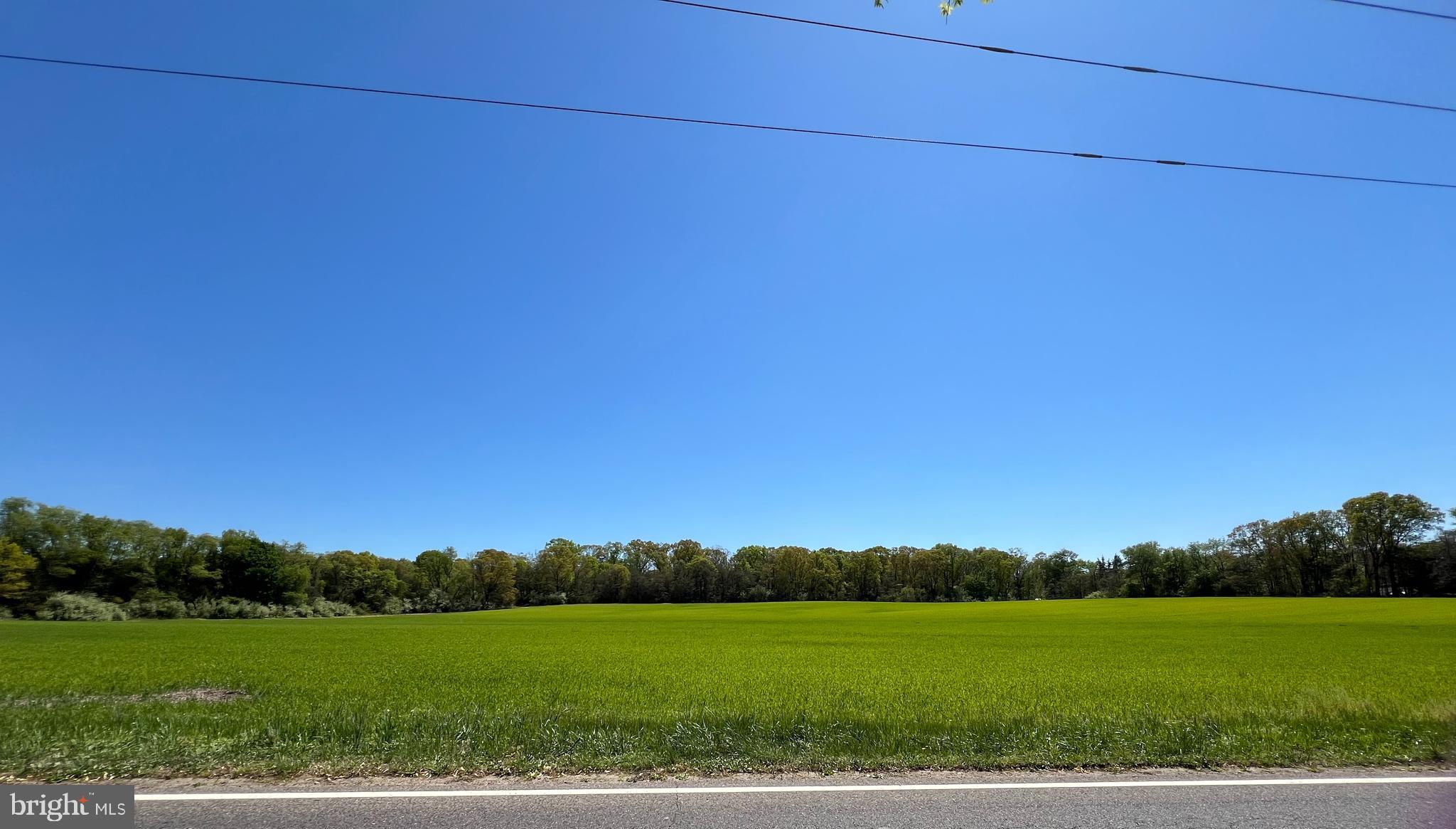 178 Rosenhayn Avenue Bridgeton, NJ 08302 - Photo 3 of 3 a view of grassy field with trees