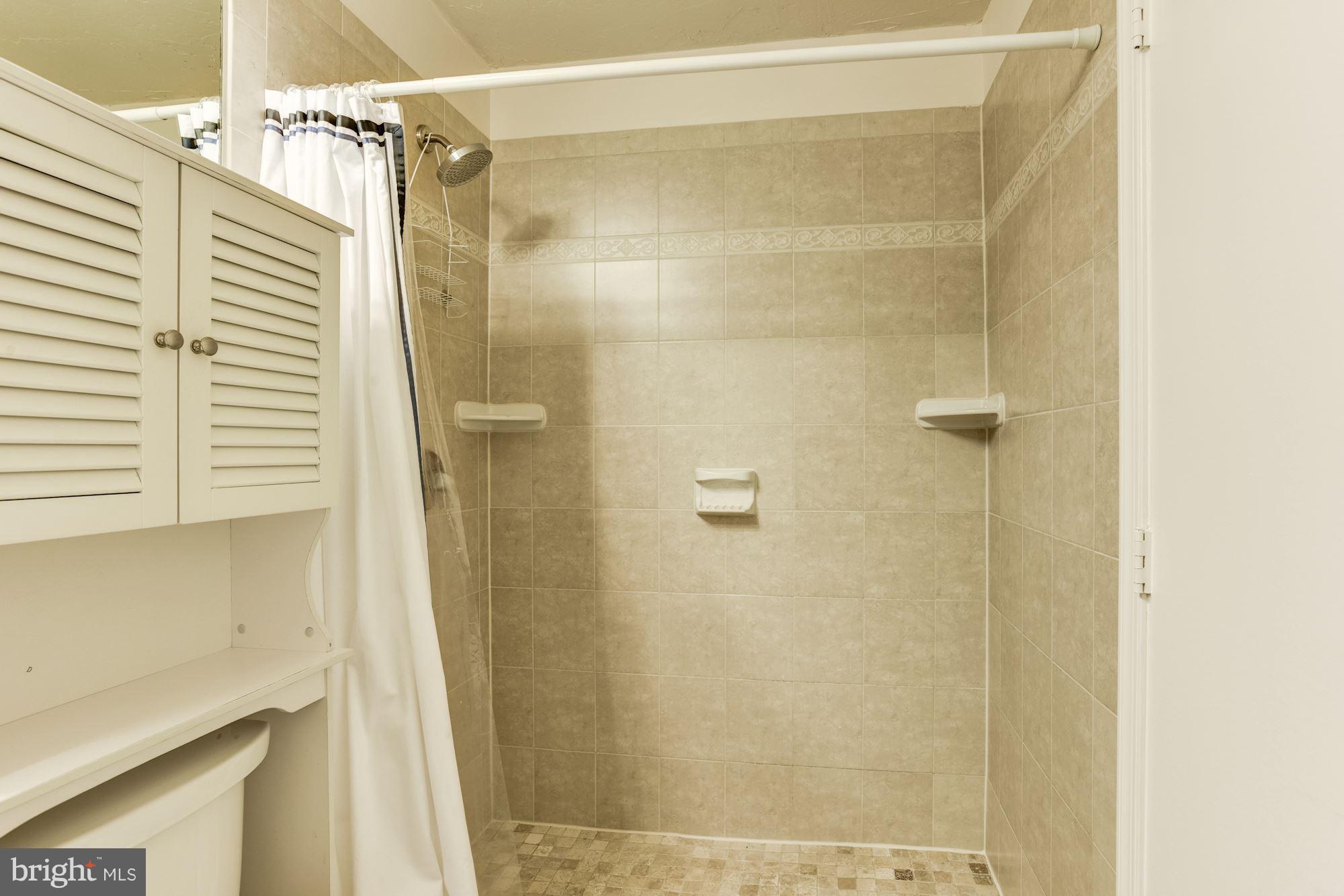 11701 Summerchase Circle, Unit 1701A Reston, VA 20194 - Photo 17 of 26 Bath (Master)