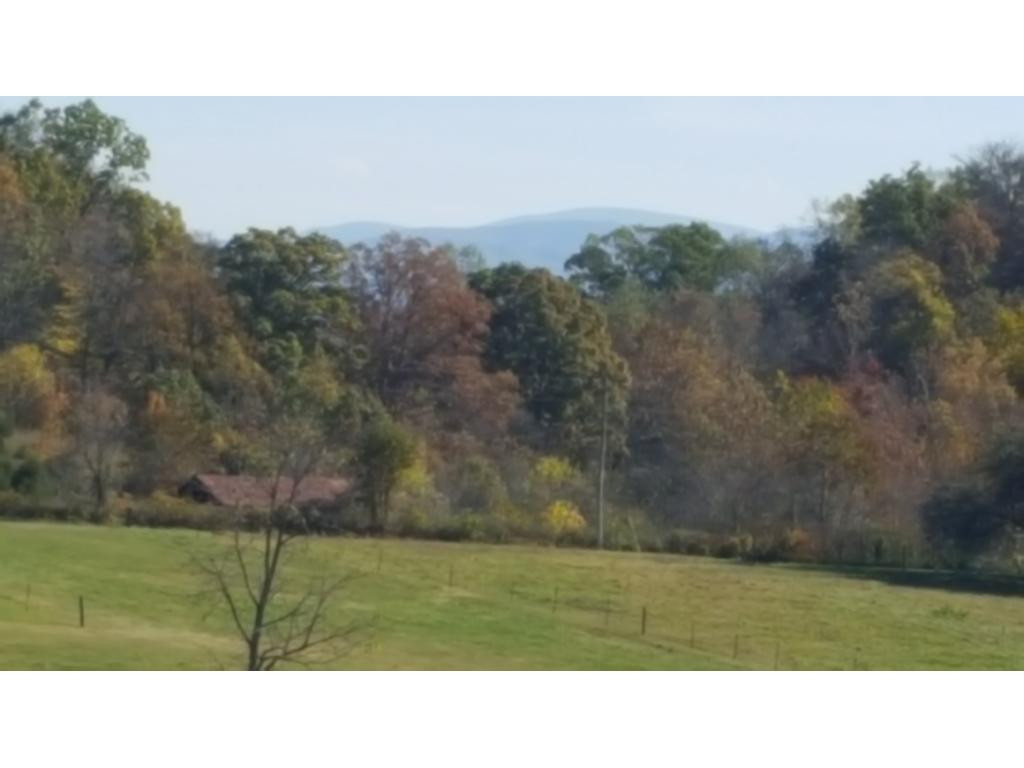 1925 Happy Valley Road Limestone, TN 37681 - Photo 2 of 7 Photo 2