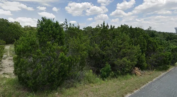 a view of a bunch of trees