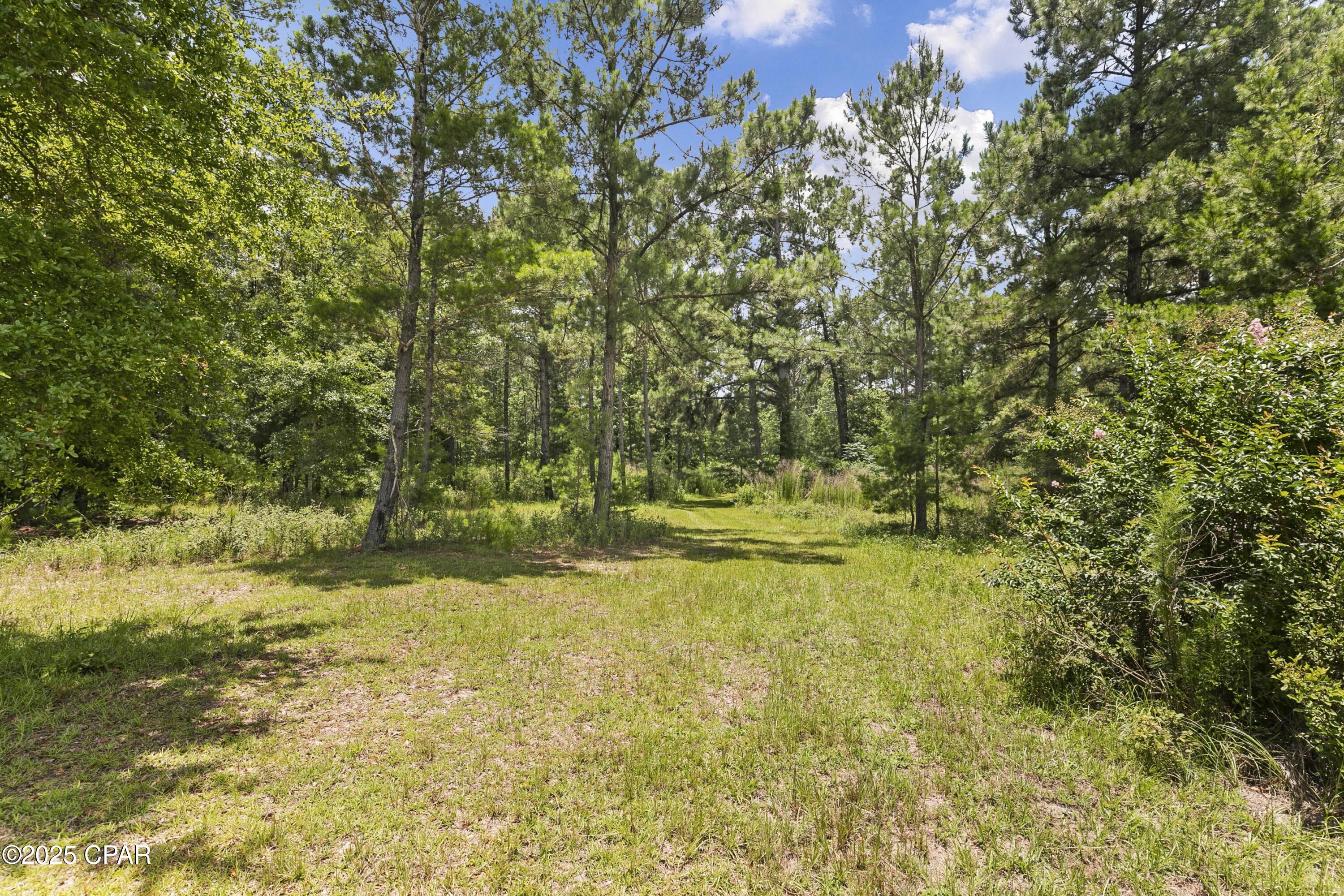 1653 Ledger Road Chipley, FL 32428 - Photo 14 of 46