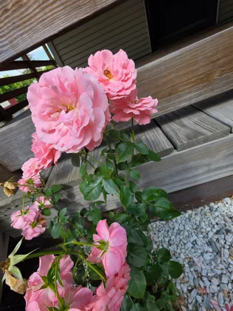 $250,000 | 98 Merchant Street, Barre, VT 05641