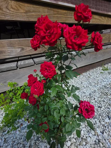 $250,000 | 98 Merchant Street, Barre, VT 05641