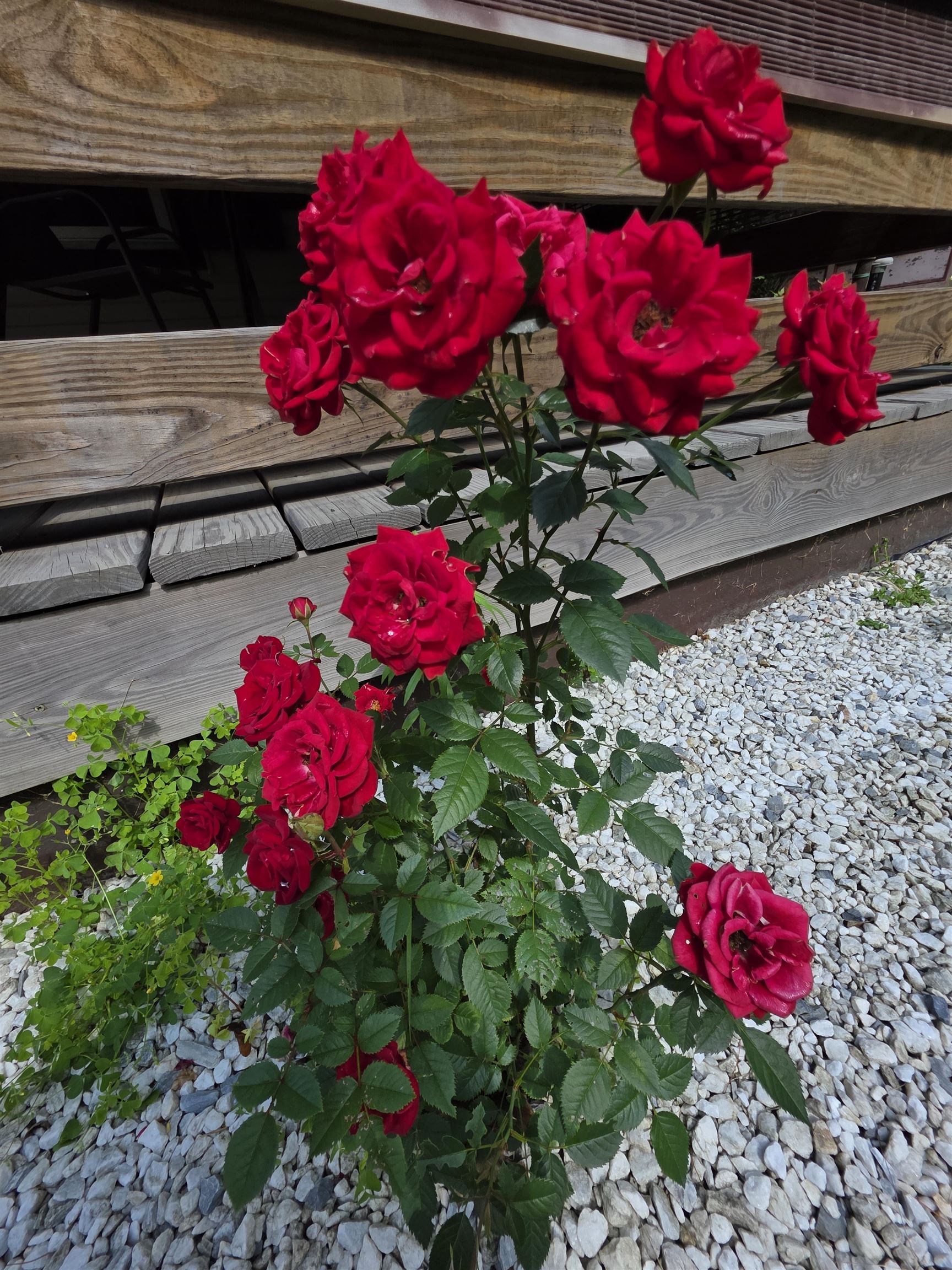 98 Merchant Street Barre, VT 05641 - Photo 14 of 34