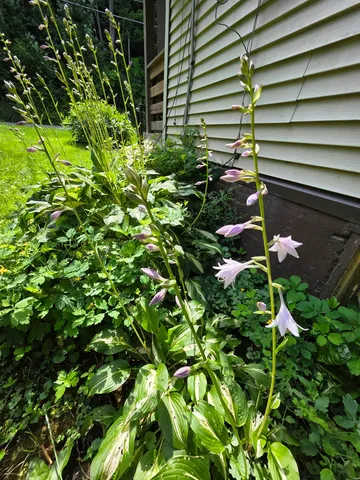 $250,000 | 98 Merchant Street, Barre, VT 05641