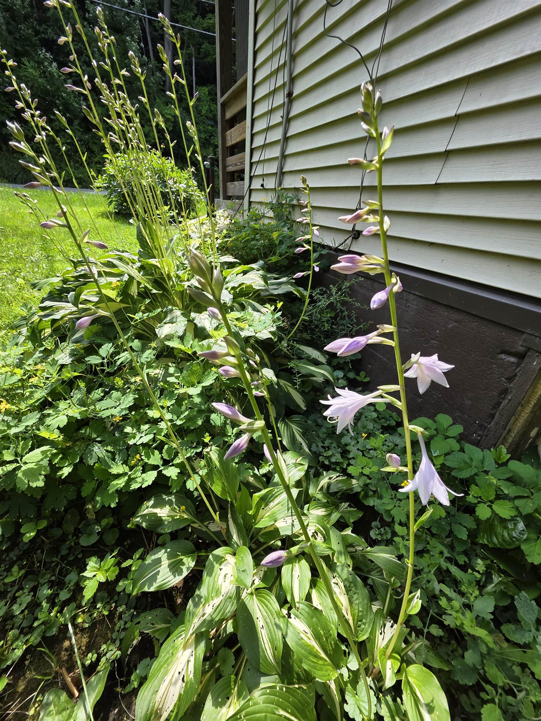 98 Merchant Street Barre, VT 05641 - Photo 8 of 34