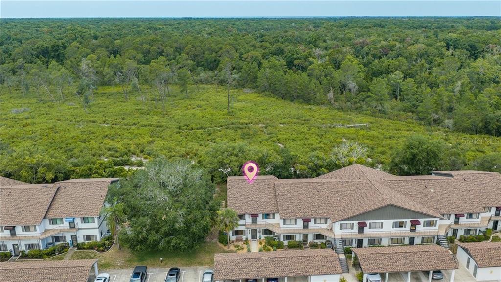 6653 River Run Boulevard, Unit 6653 Weeki Wachee, FL 34607 - Photo 3 of 54