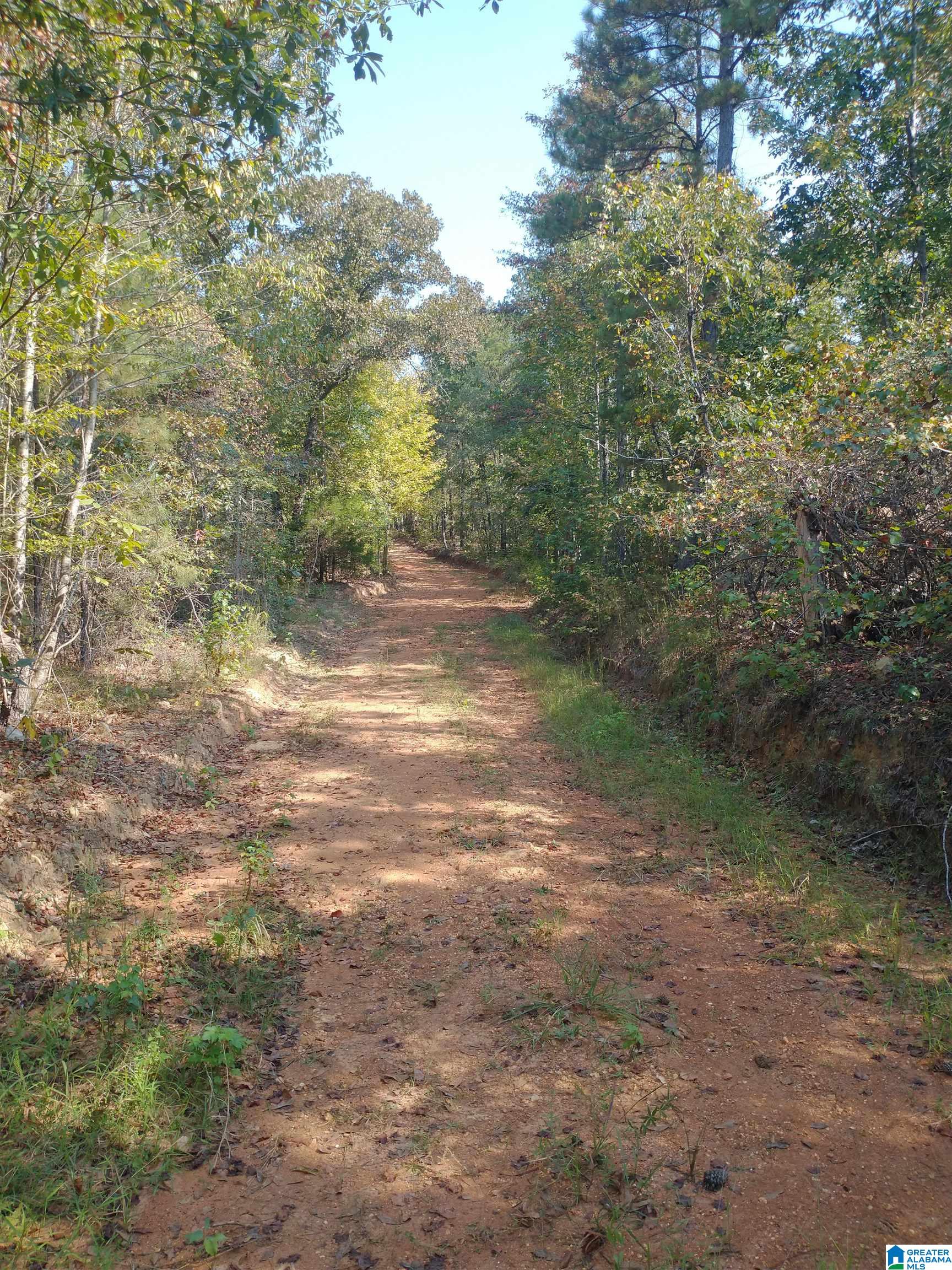 8100 Mckesie Street, Unit 81 ACRES Riverside, AL 35135 - Photo 7 of 18