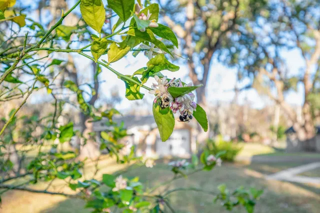 $429,000 | 5011 Ave B, St. Augustine, FL 32095