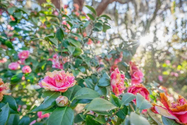 $429,000 | 5011 Ave B, St. Augustine, FL 32095