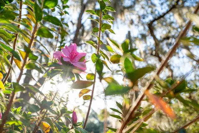 $429,000 | 5011 Ave B, St. Augustine, FL 32095