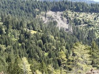 12350 Forest Service Rt 1 Road Kneeland, CA 95549 - Photo 3 of 31 Gallery Image 3