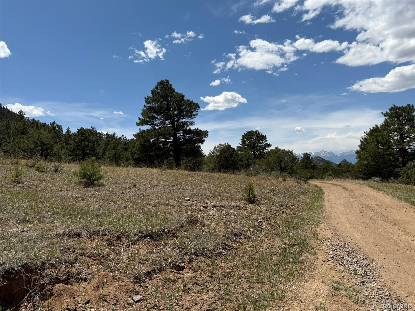 477 Bear Peak Road Westcliffe, CO 81252 - Photo 38 of 39