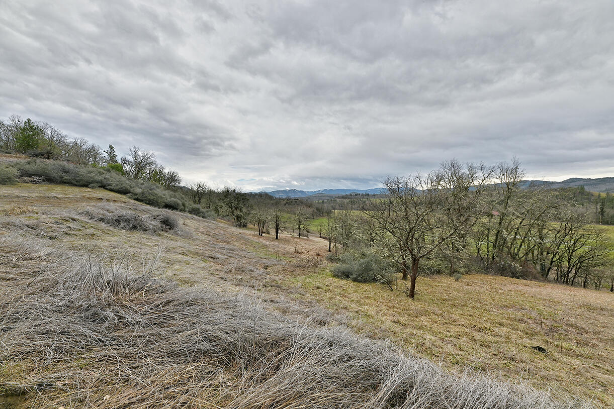 13546 Highway 140 Eagle Point, OR 97524 - Photo 20 of 24 a view of a yard with an trees
