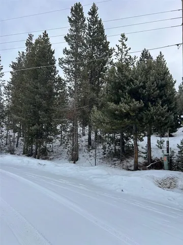 a snow on the side of the road