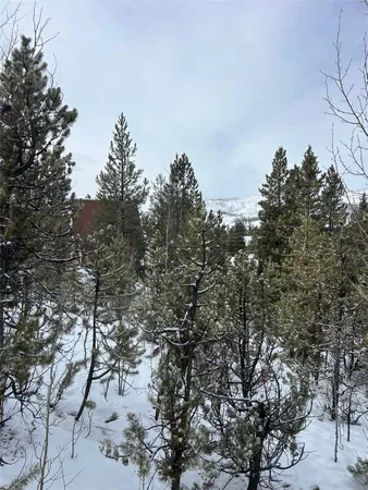 a view of a covered with large trees