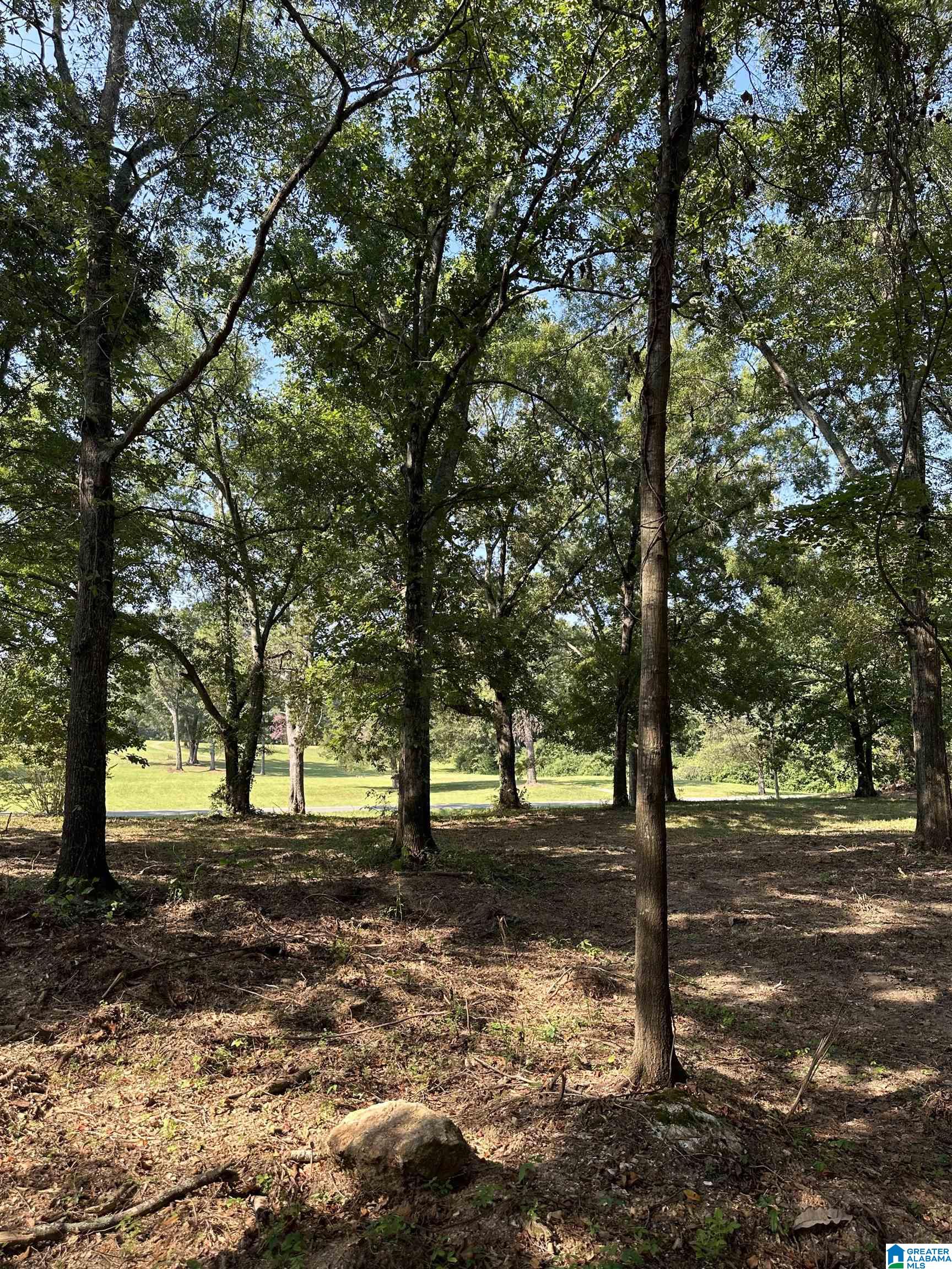 3100 Easonville Road, Unit 7 Pell City, AL 35128 - Photo 6 of 8