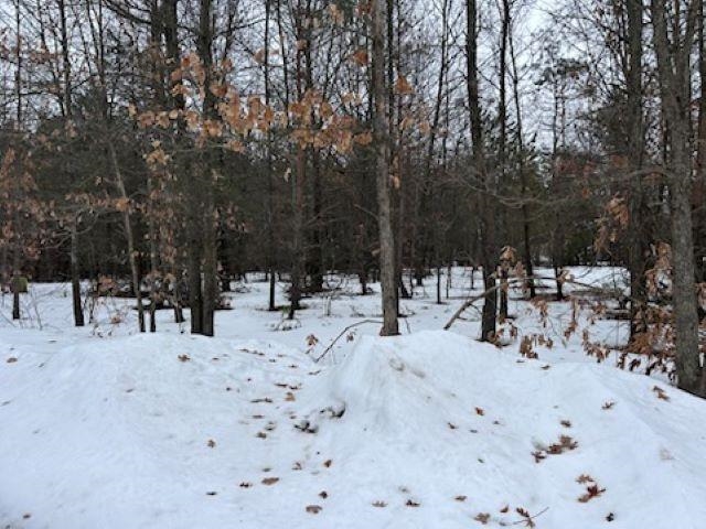 Lot B West 14 Road Mesick, MI 49668 - Photo 5 of 37