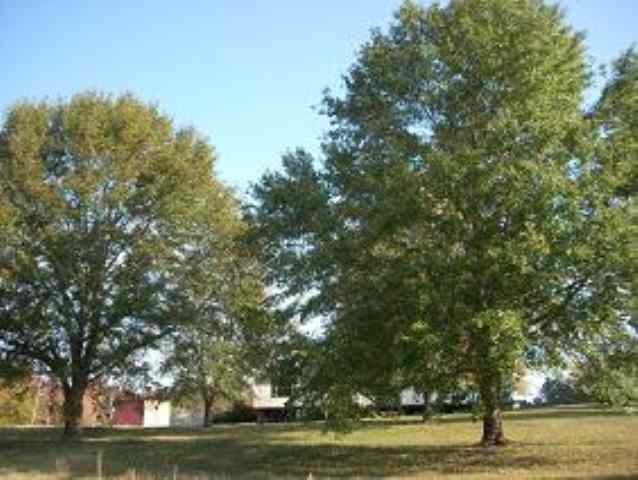 109 Pine Knoll Road Liberty, SC 29657 - Photo 6 of 6
