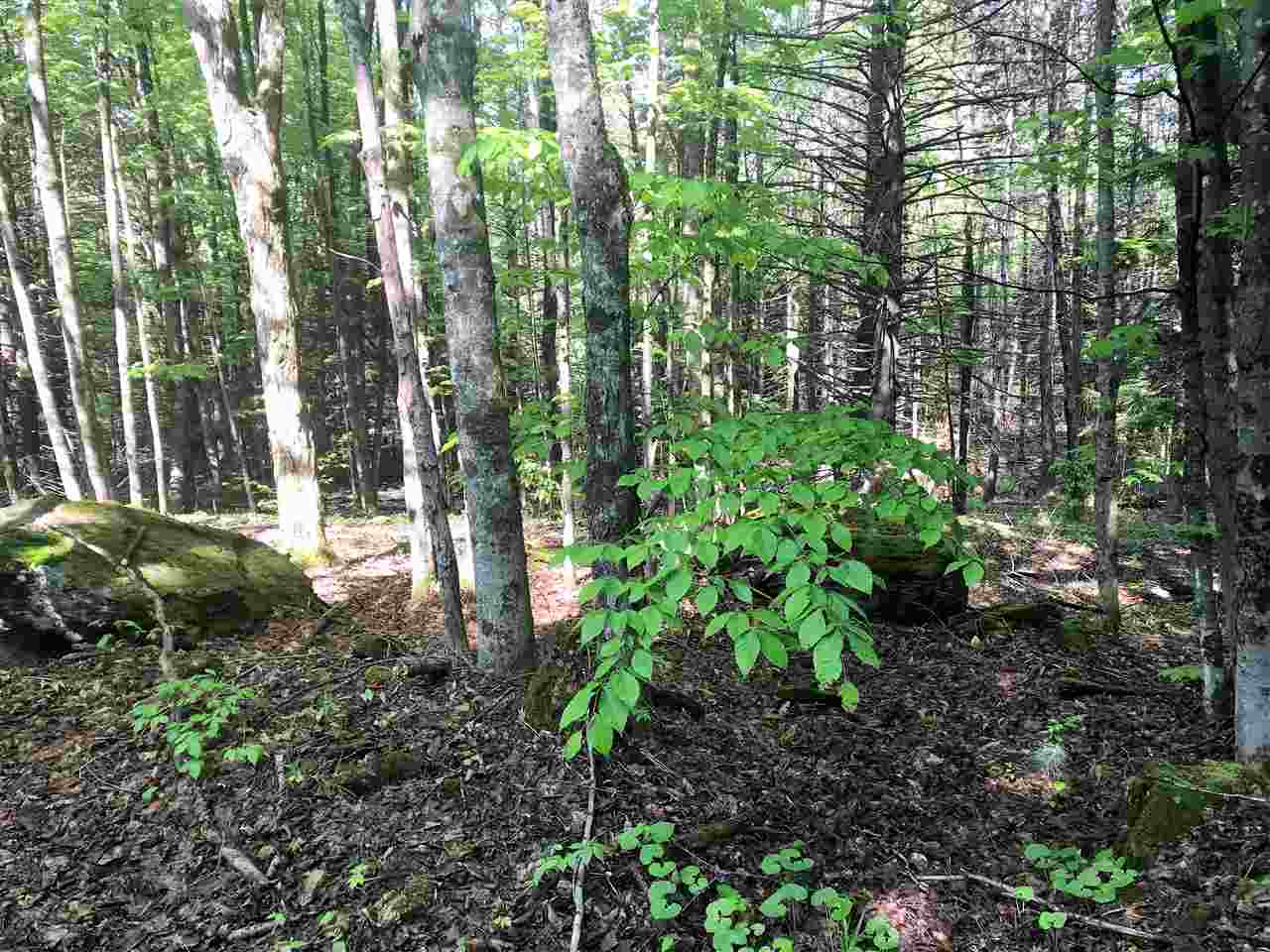0 Regan Road Montgomery Center, VT 05471 - Photo 2 of 4