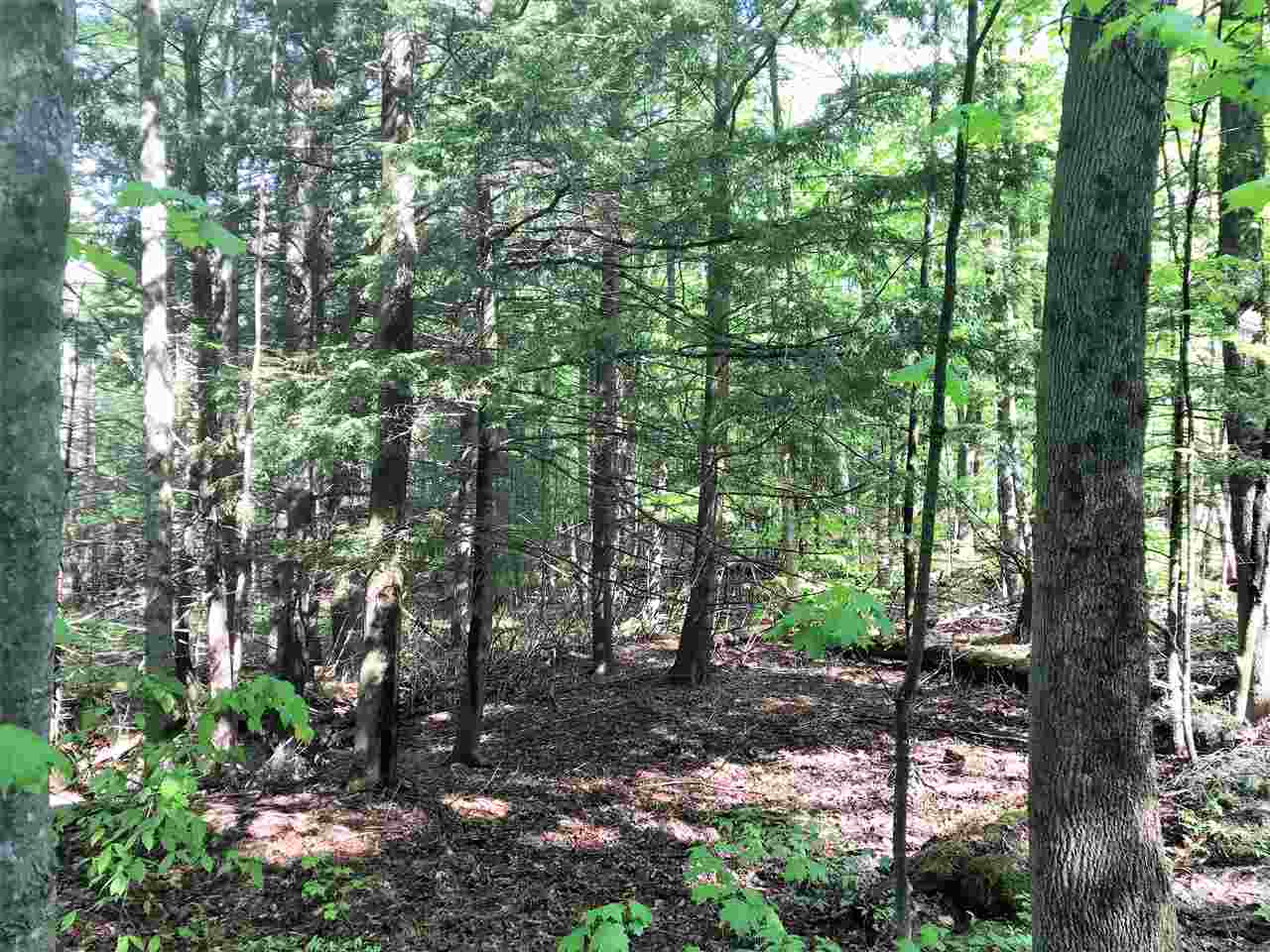 0 Regan Road Montgomery Center, VT 05471 - Photo 3 of 4