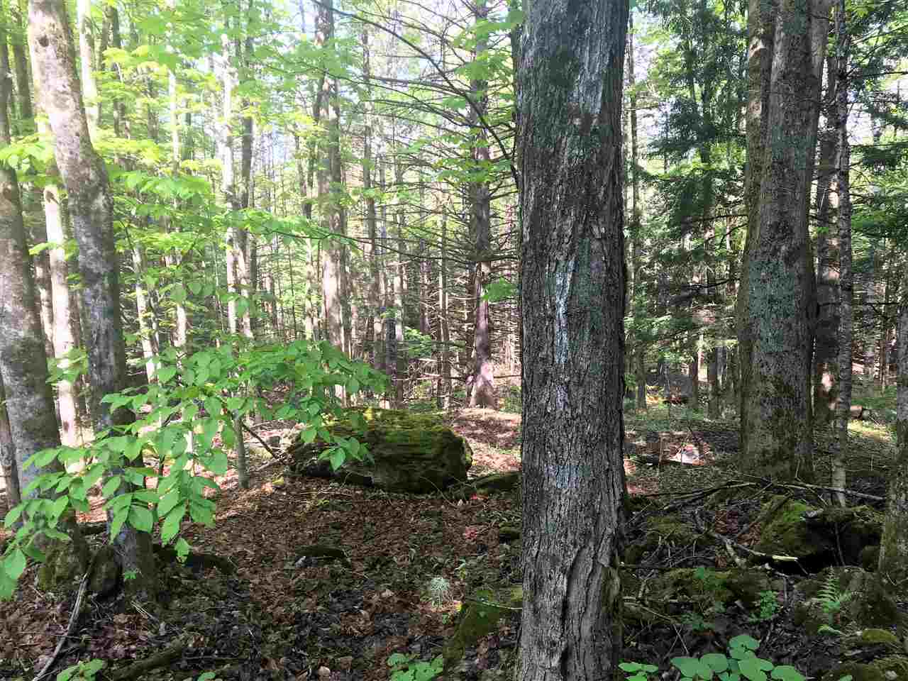 0 Regan Road Montgomery Center, VT 05471 - Photo 4 of 4