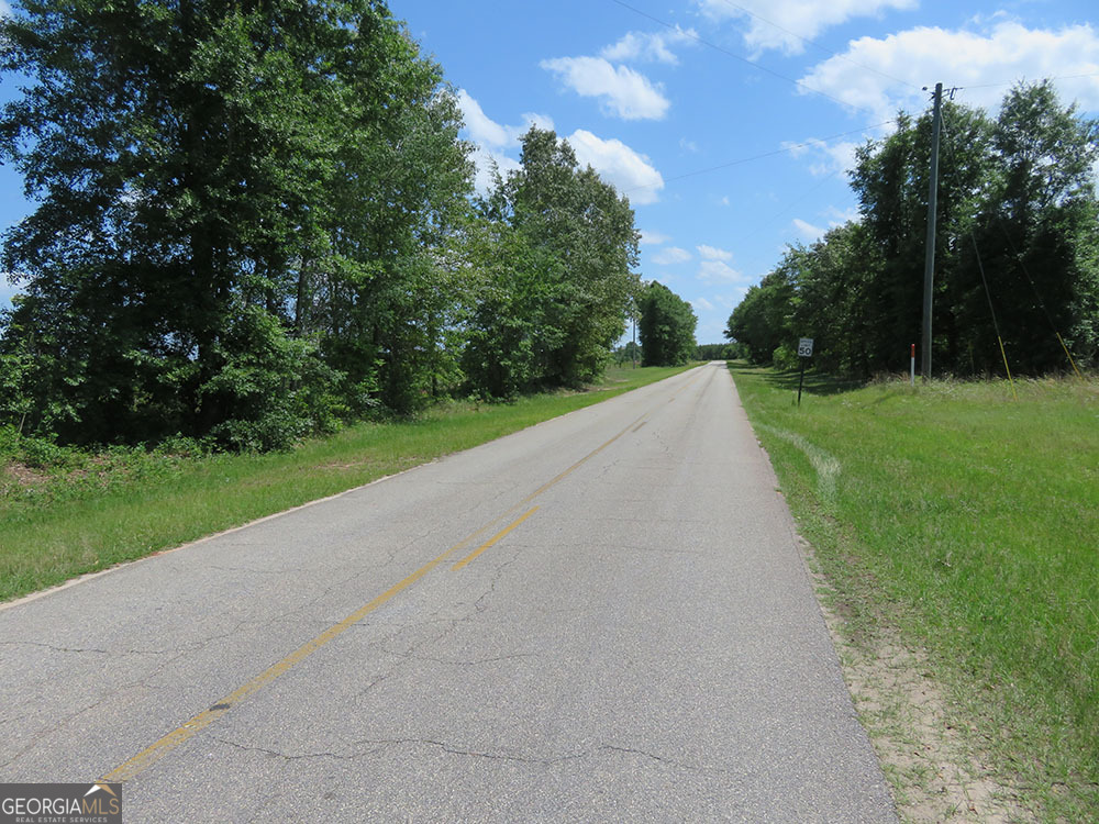 0 Ebenezer Road Ellaville, GA 31806 - Photo 2 of 6