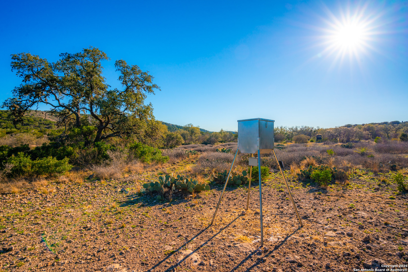 1659 Mesa Verde Sabinal, TX 78881 - Photo 13 of 38 a view of a road with an outdoor space