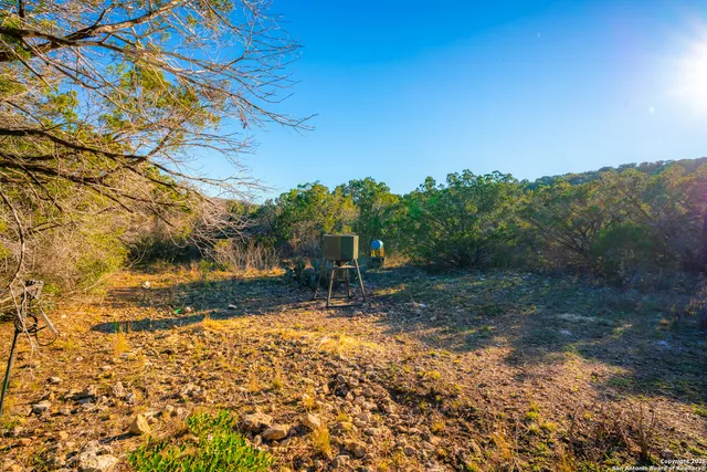 a view of a yard with trees