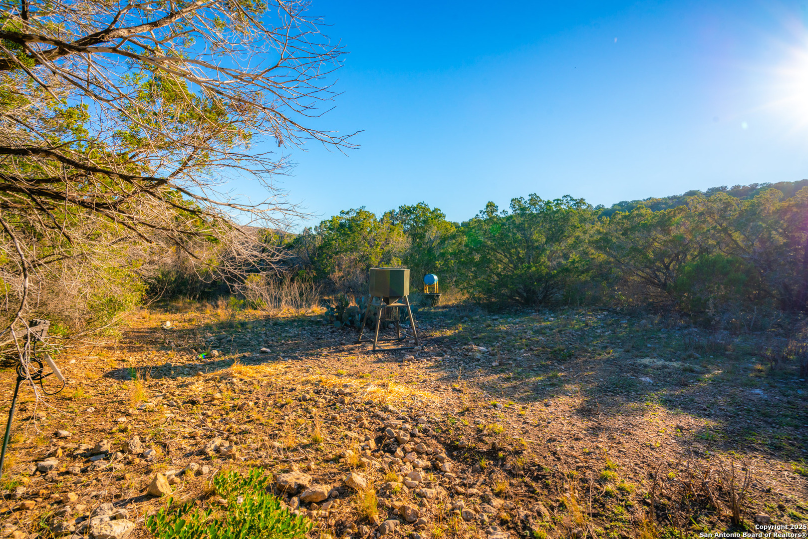 1659 Mesa Verde Sabinal, TX 78881 - Photo 14 of 38 a view of a yard with trees