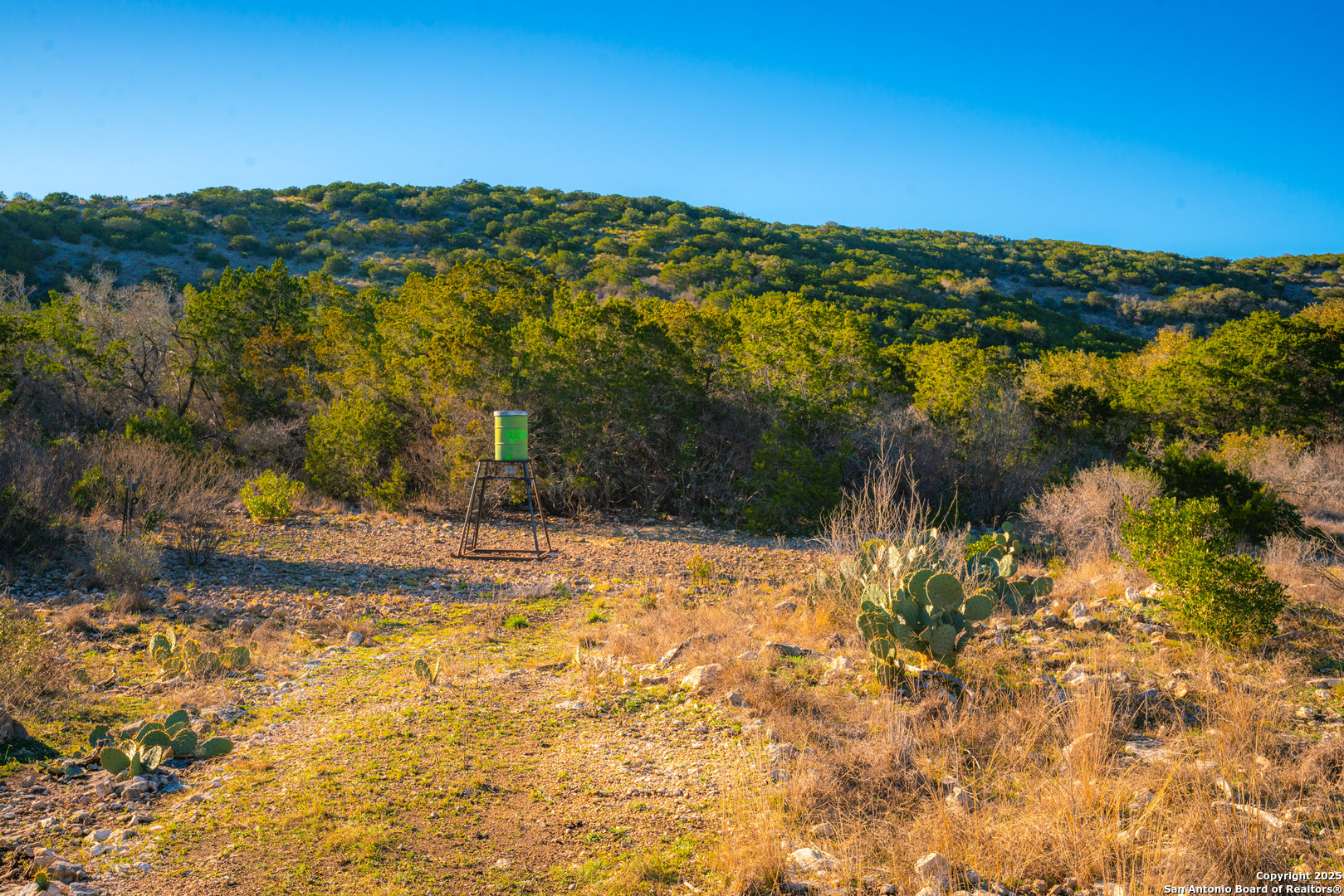1659 Mesa Verde Sabinal, TX 78881 - Photo 15 of 38 a view of lake