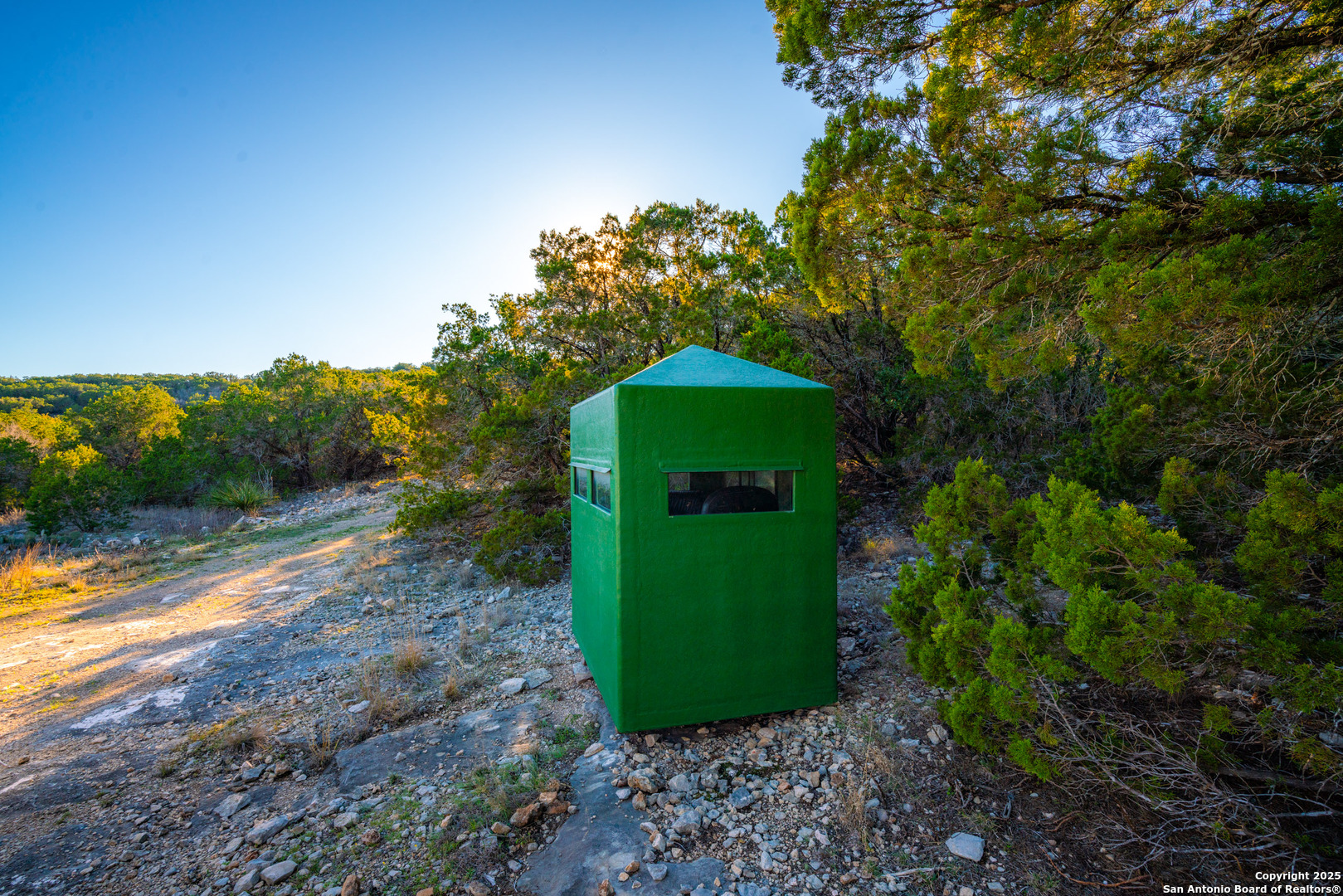 1659 Mesa Verde Sabinal, TX 78881 - Photo 17 of 38 a green field with some trees in the background