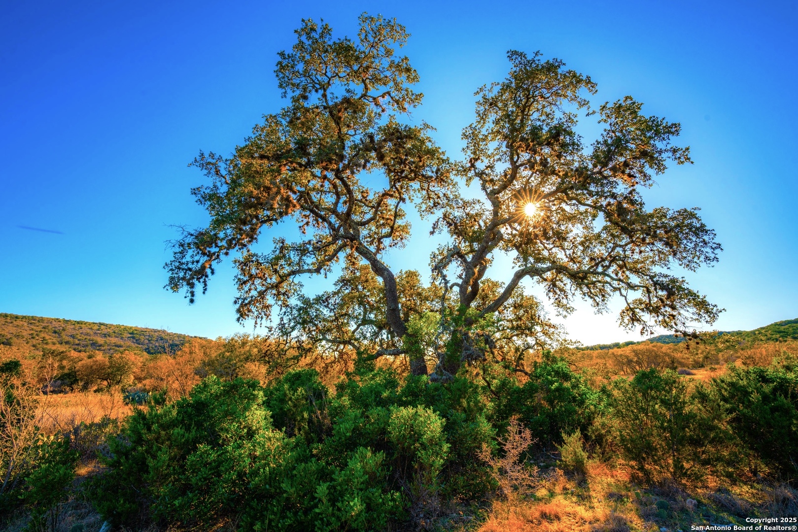 1659 Mesa Verde Sabinal, TX 78881 - Photo 25 of 38