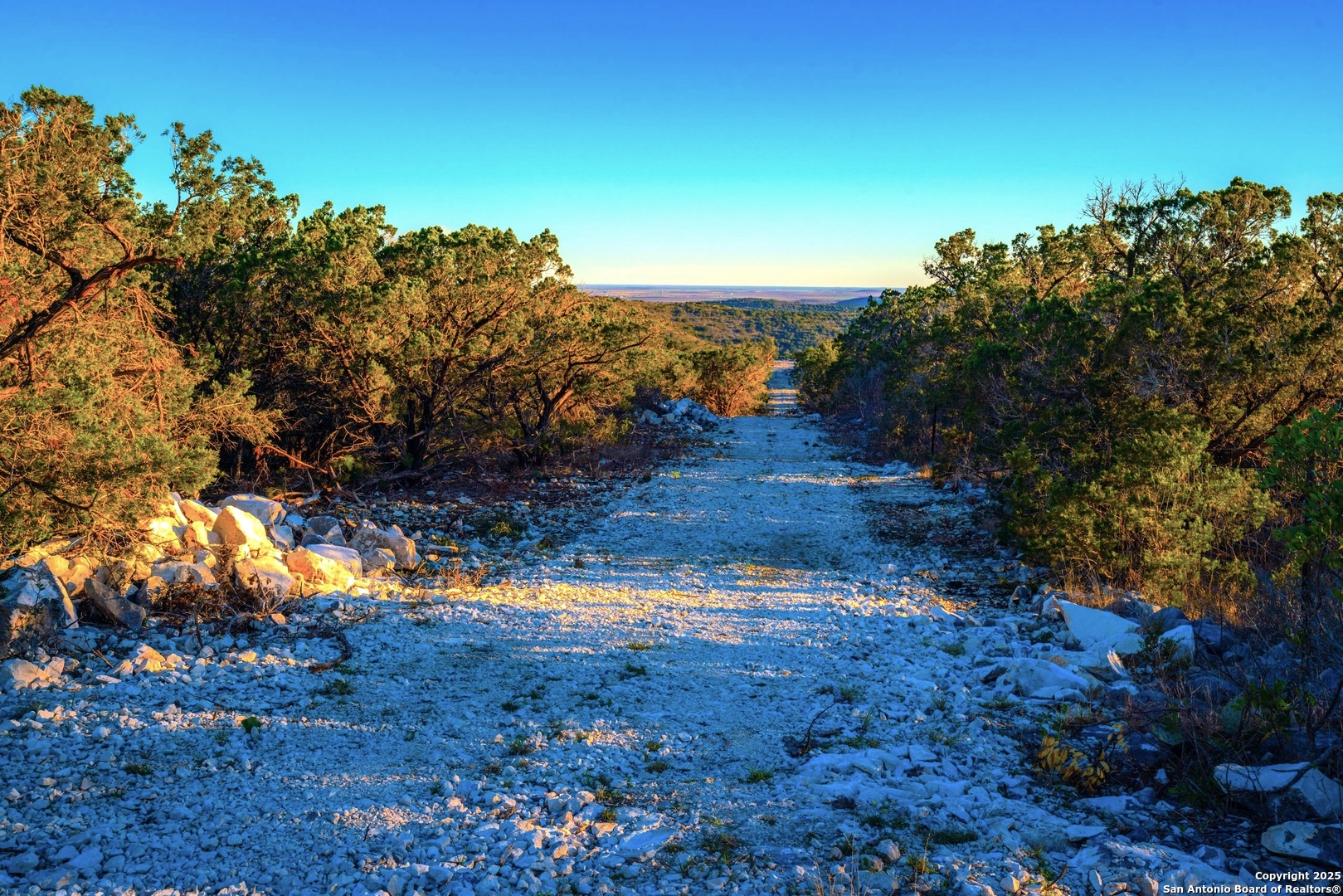 1659 Mesa Verde Sabinal, TX 78881 - Photo 26 of 38 a view of a yard with a tree