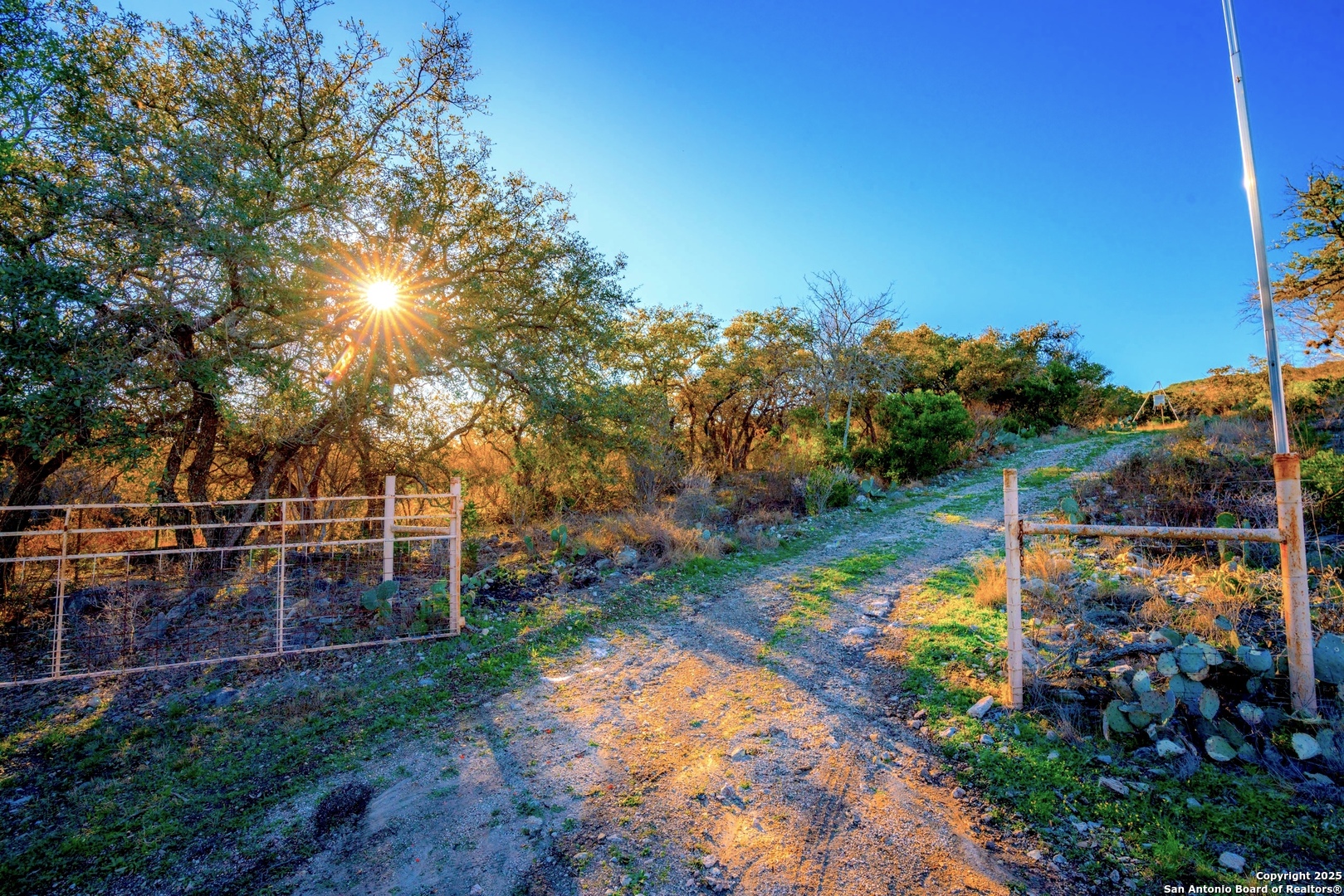 1659 Mesa Verde Sabinal, TX 78881 - Photo 27 of 38 a view of a park with large trees