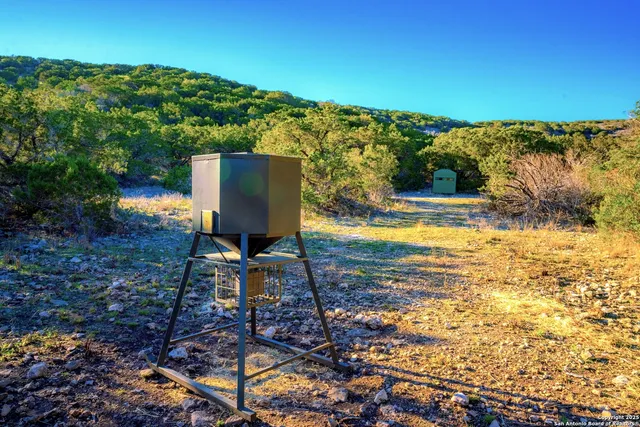 a view of backyard with plants and outdoor seating