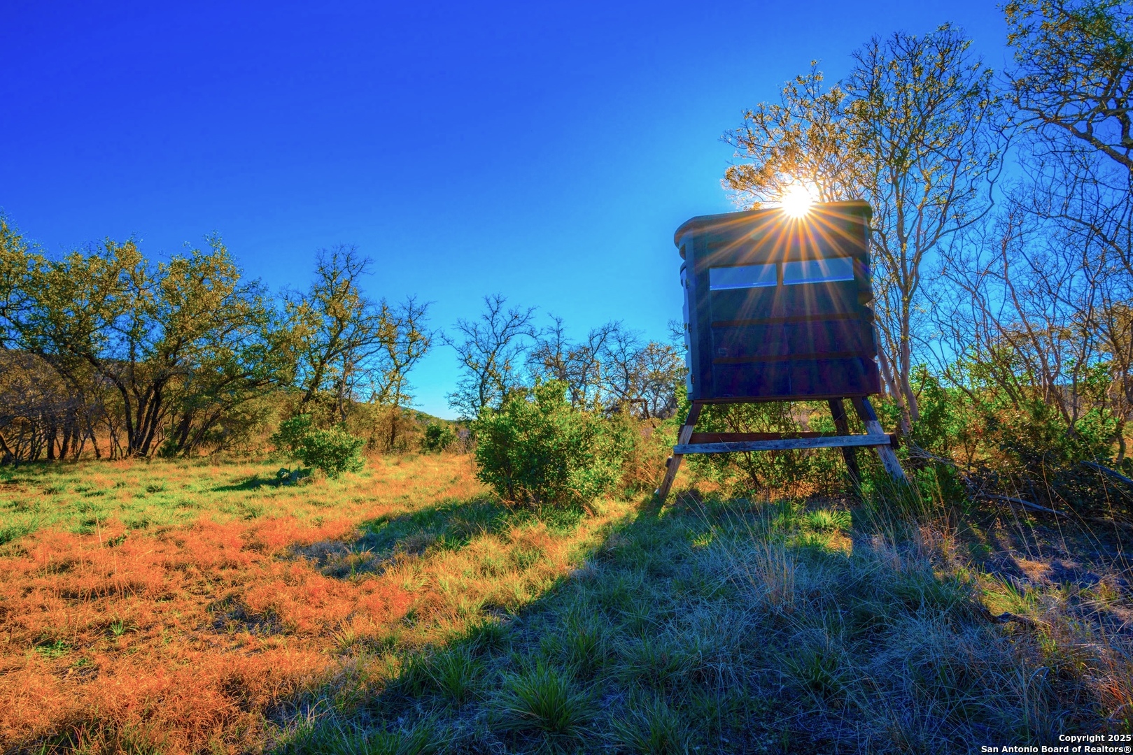 1659 Mesa Verde Sabinal, TX 78881 - Photo 29 of 38 a view of backyard with plants and outdoor seating