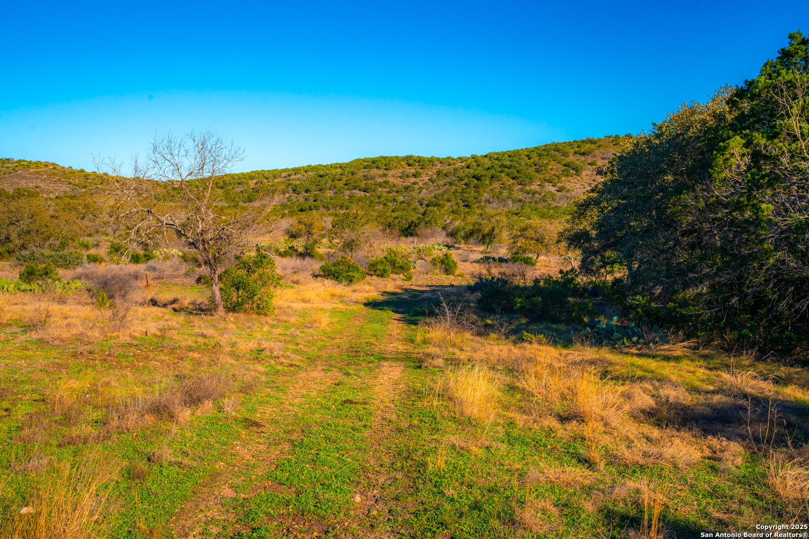 1659 Mesa Verde Sabinal, TX 78881 - Photo 7 of 38 a view of ocean