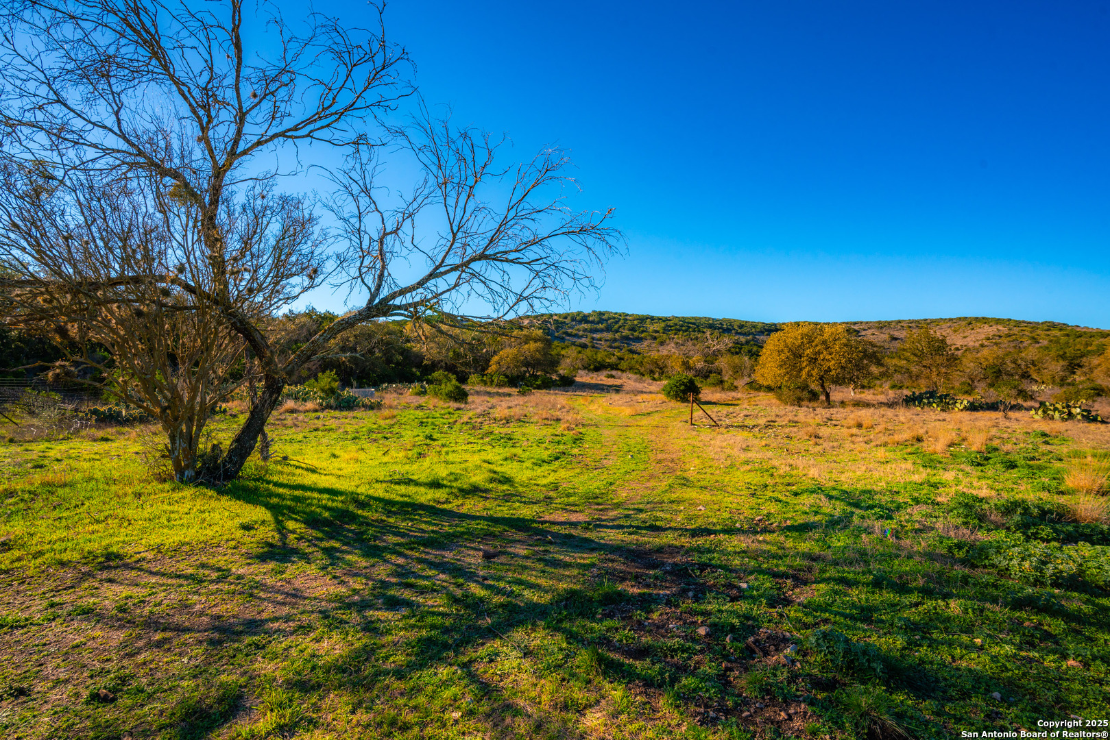 1659 Mesa Verde Sabinal, TX 78881 - Photo 8 of 38 a view of an ocean view