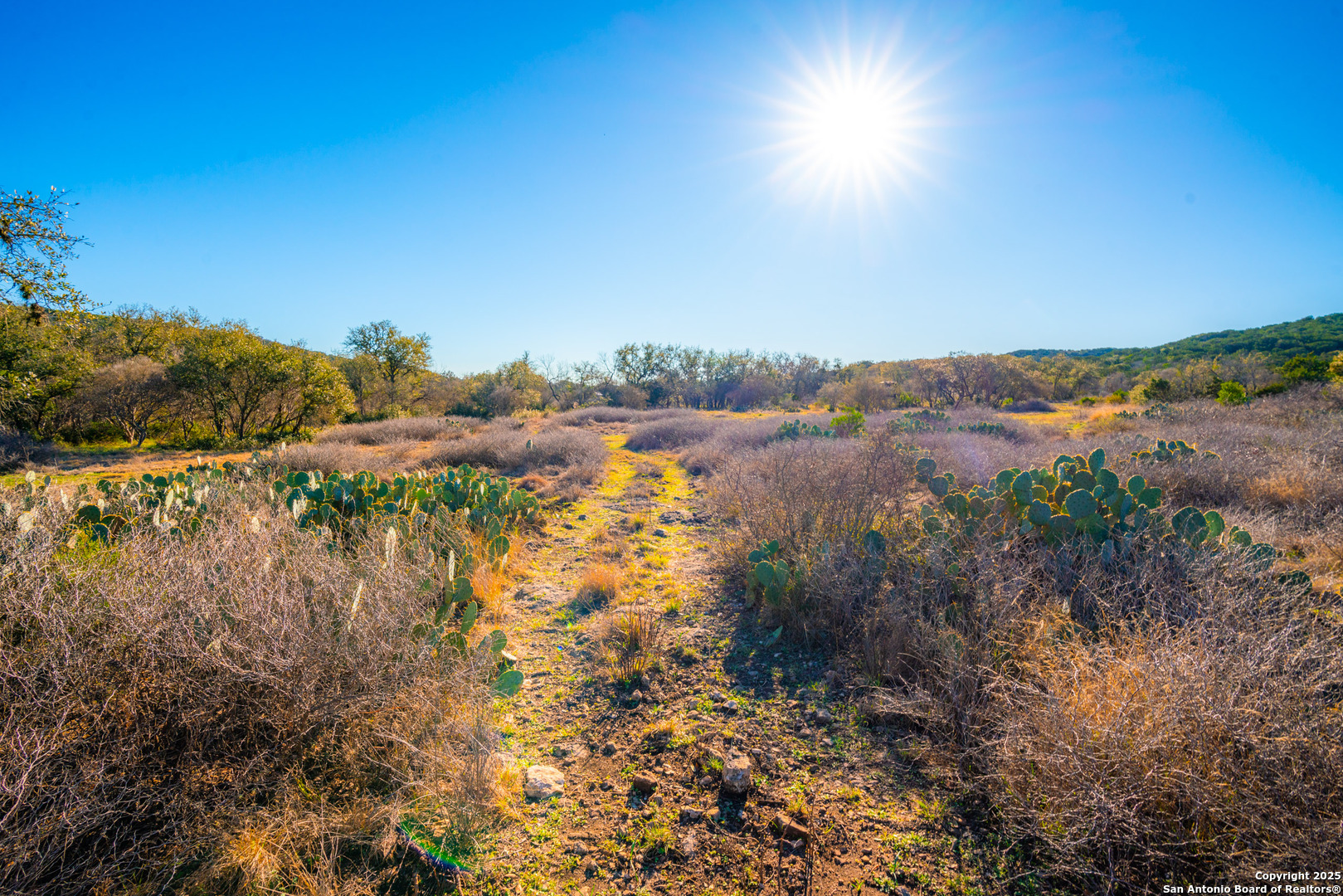 1659 Mesa Verde Sabinal, TX 78881 - Photo 10 of 38 a view of lake and mountain