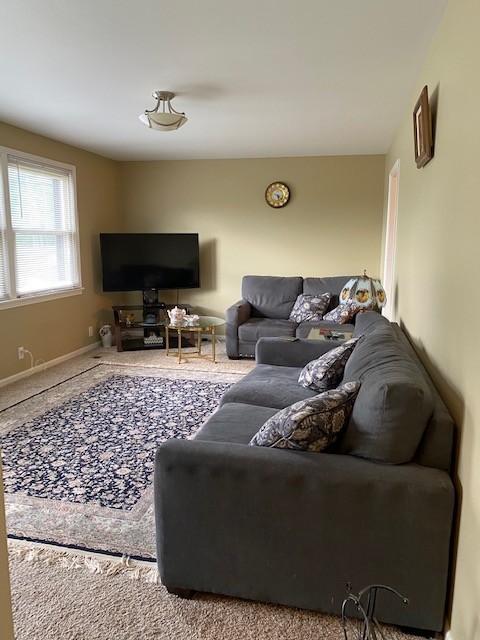 853 Richards Road Antioch, TN 37013 - Photo 3 of 10 Gallery Image 3