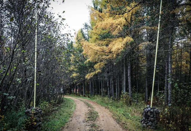 $80,000 | 7839 Stromberg Road, Embarrass, MN 55732