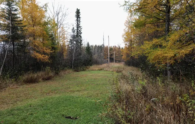 $80,000 | 7839 Stromberg Road, Embarrass, MN 55732