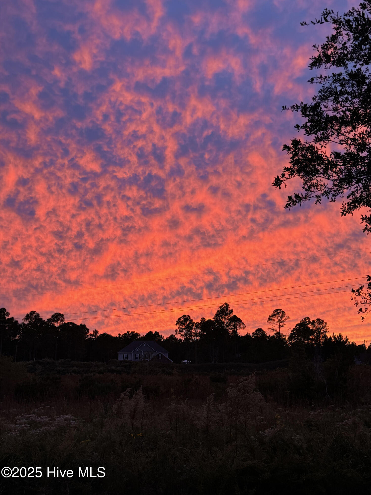 35 Scotlands Court Hampstead, NC 28443 - Photo 13 of 14 12) 54776-67d44779c9cb9