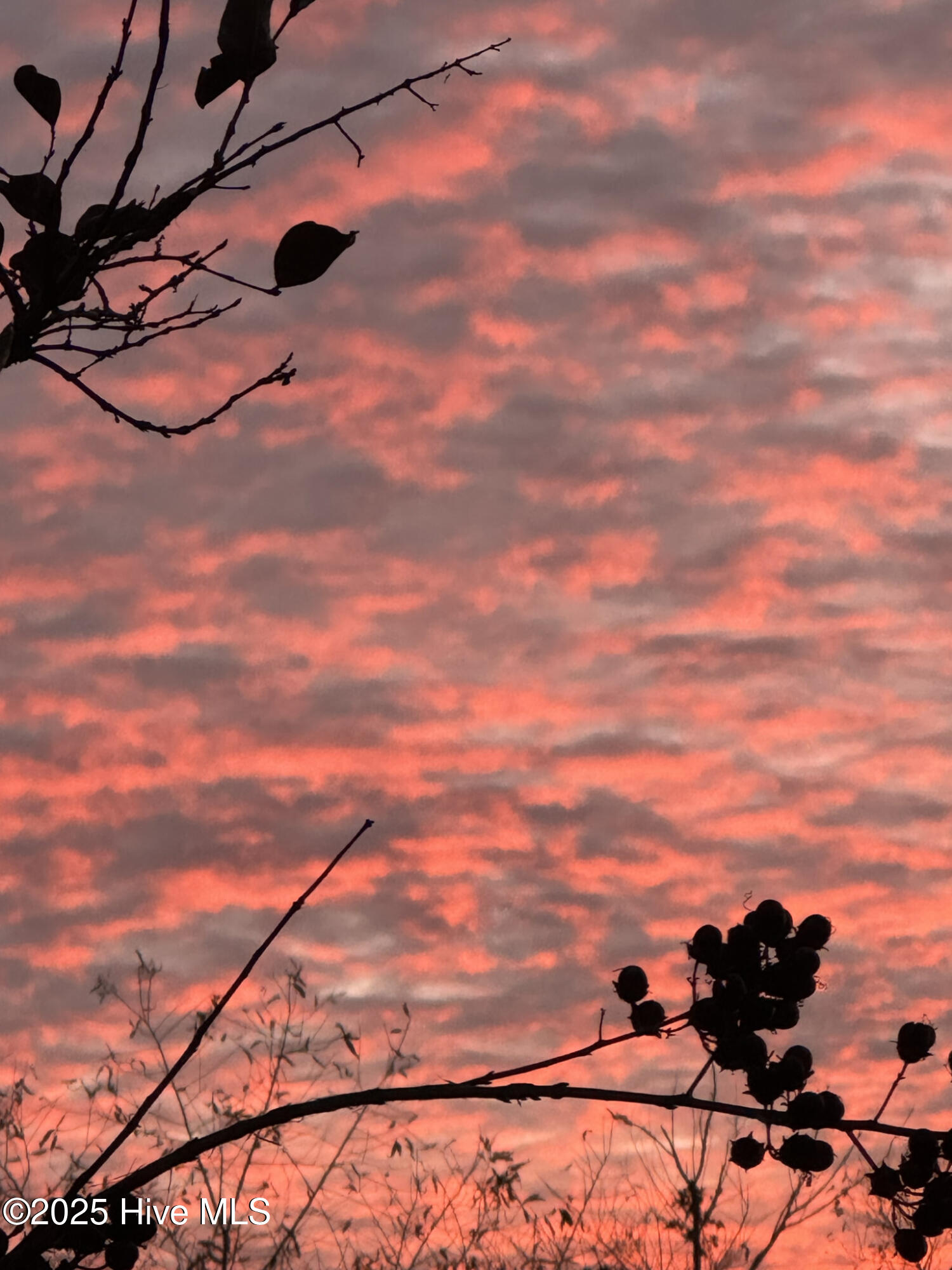 35 Scotlands Court Hampstead, NC 28443 - Photo 14 of 14 13) 54776-67d447c05c6a8