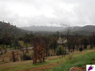 32276 Sycamore Road Tollhouse, CA 93667 - Photo 11 of 12 Gallery Image 11