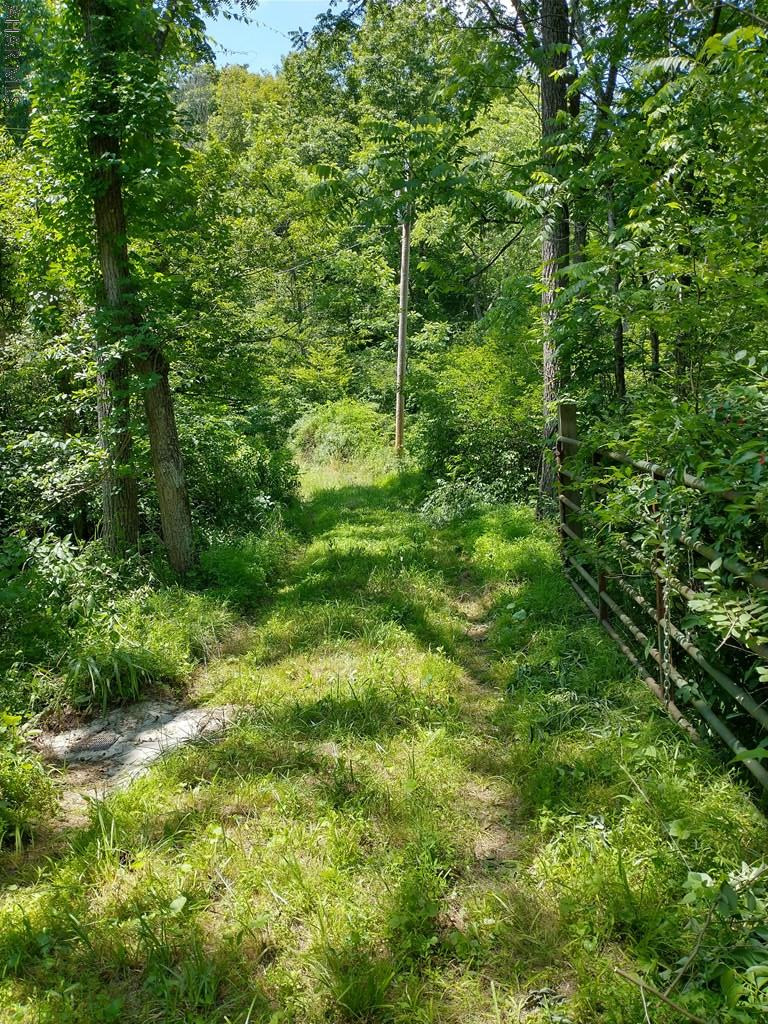 Off Smith Road Clearville, PA 15535 - Photo 15 of 47 a view of a lush green forest