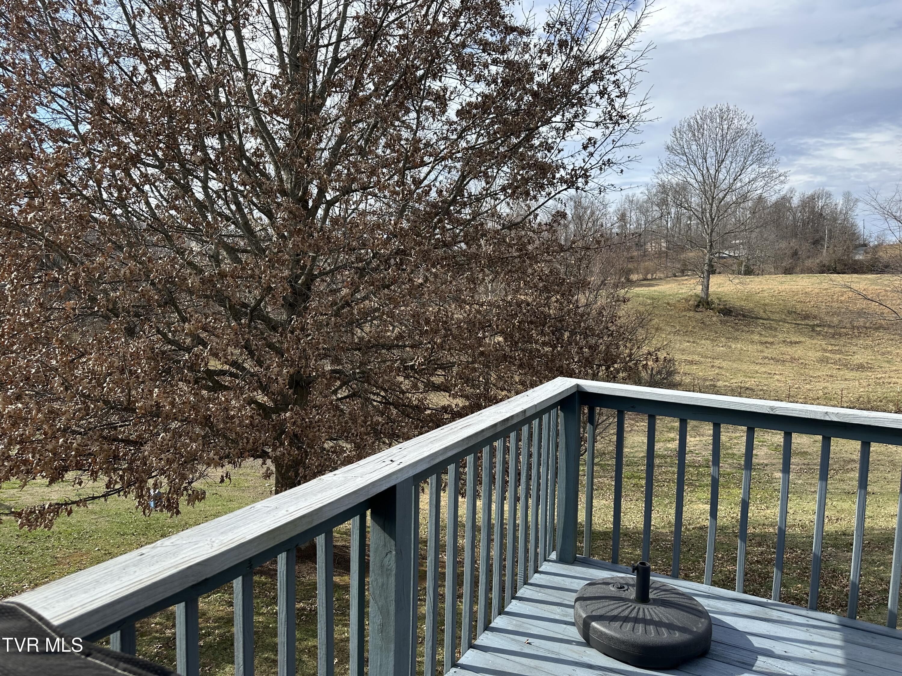 230 Mockingbird Place Jonesborough, TN 37659 - Photo 12 of 55 8b